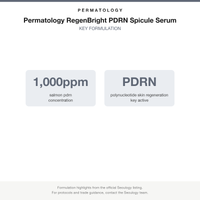 Permatology RegenBright PDRN Spicule Serum key formulation card