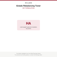 Eclado Rebalancing Toner key formulation card