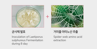 Seoulogy ISOV S-Amino Pro Kit, professional Korean skincare — view 4