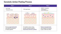 Seoulogy ISOV V-Grape Pro Kit, professional Korean skincare — view 5