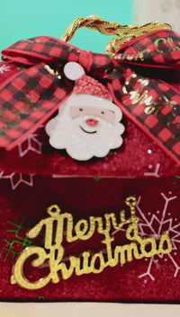 Krx Probiotic Line Kit Christmas Edition